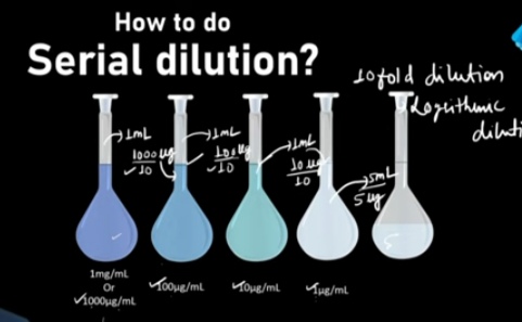 Serial Dilution