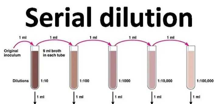 Serial Dilution