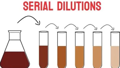 Serial Dilution