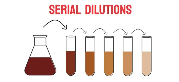 Serial Dilution