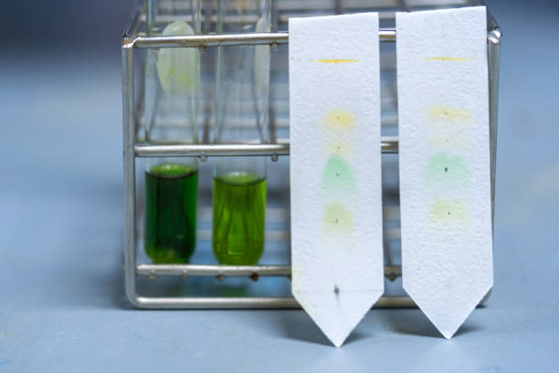 Paper chromatography