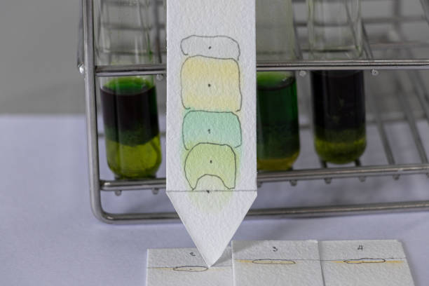 Thin-Layer Chromatography