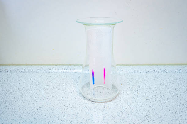 Paper chromatography