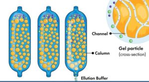 Types Of Chromatography