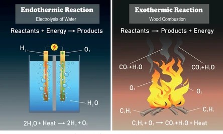 Exothermic and endothermic reactions.