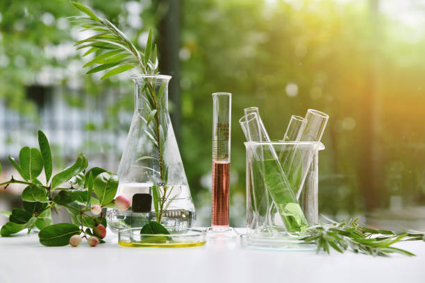 Chemistry in Everyday Life