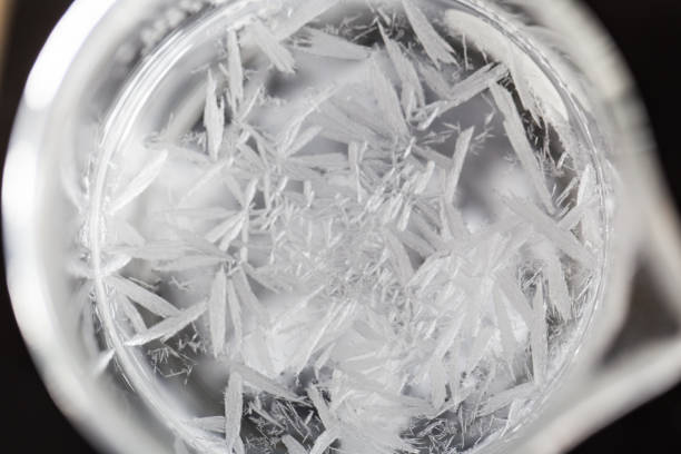 Crystallization Experiment
