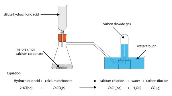 Carbon Dioxide Test