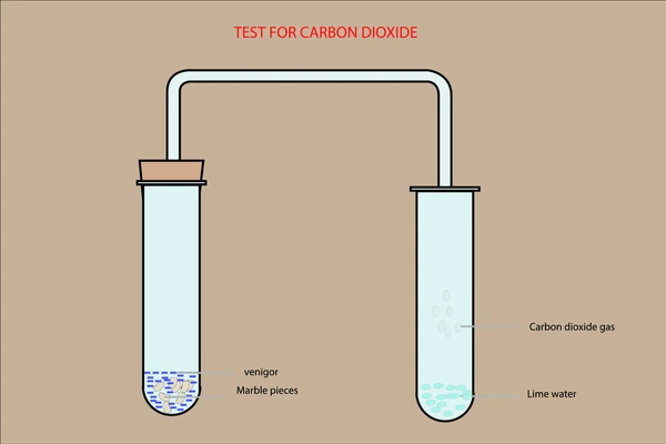 Carbon Dioxide Test
