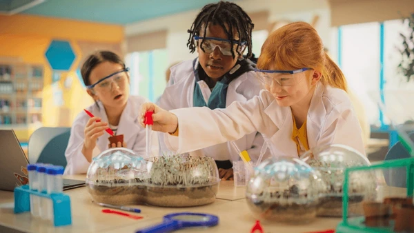 Experiments for science fair