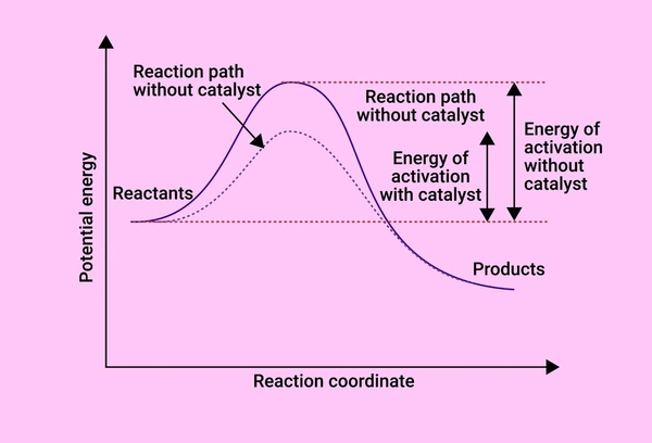 How Catalysts Work