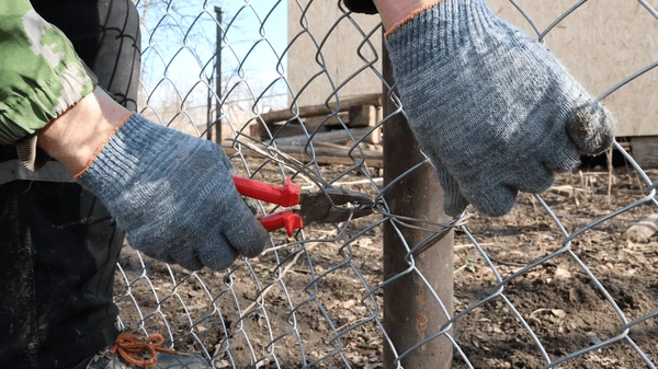 Galvanization