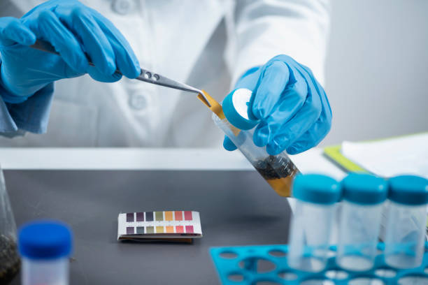 Test for Gases