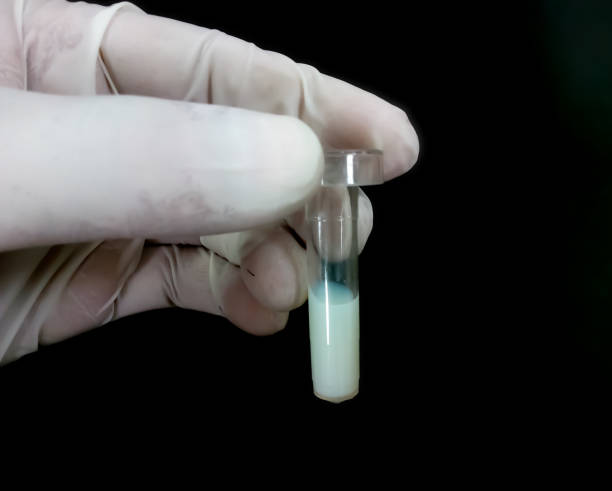Test for Halide Ions