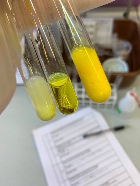 Test for Halide Ions
