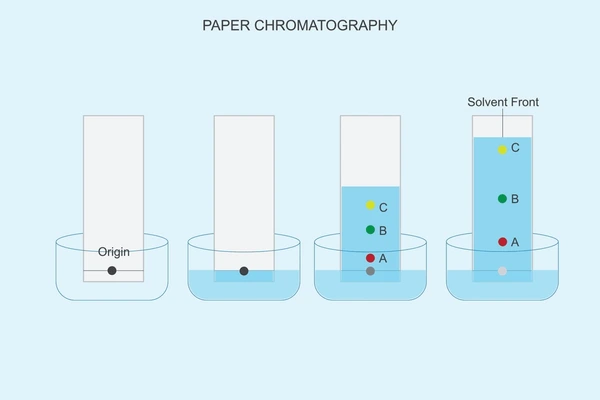 Chromatography Experiment