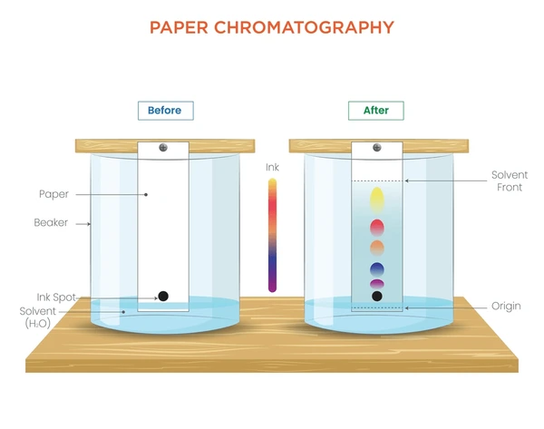 Chromatography Experiment