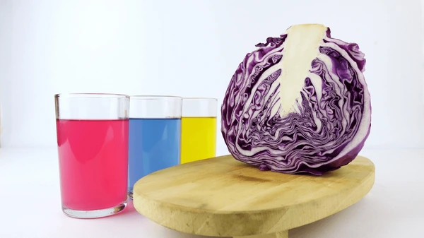 Red Cabbage Indicator