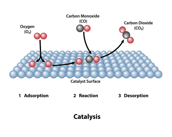 How Catalysts Work