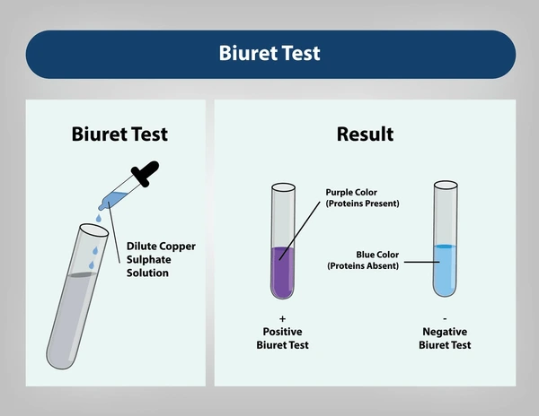 Biuret Reagent