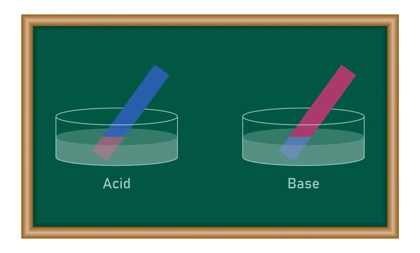 Litmus Paper