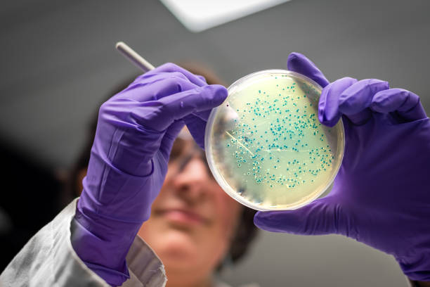Petri dish