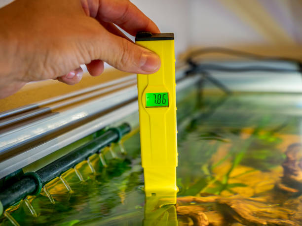 Digital pH Meter