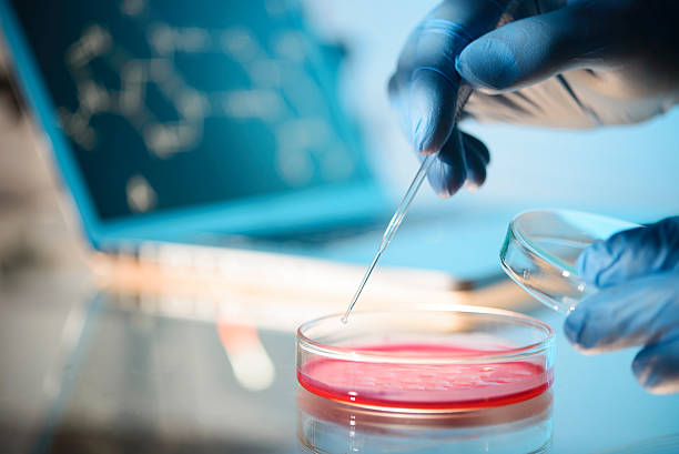 Petri dish