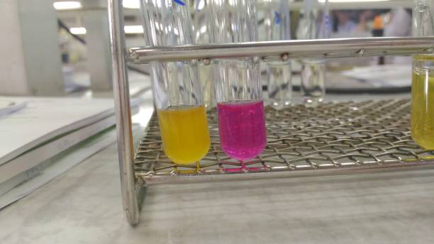 Hydrogen Carbonate Indicator