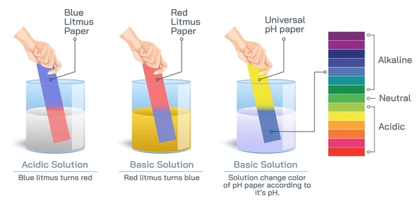 Litmus Paper