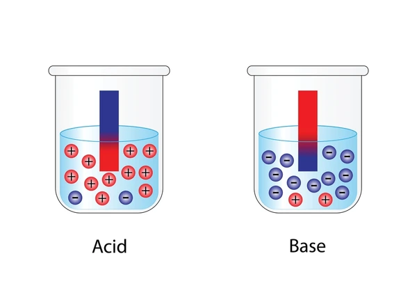 Litmus Paper