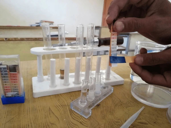 Test for Ammonia