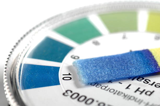 Blue Litmus Paper
