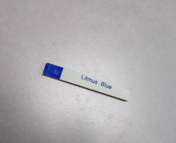 Blue Litmus Paper