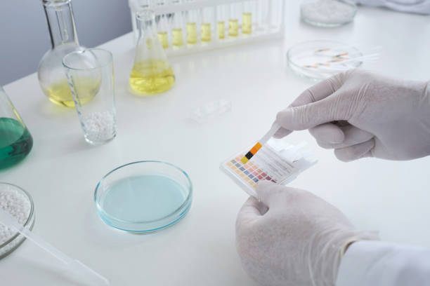 Blue Litmus Paper