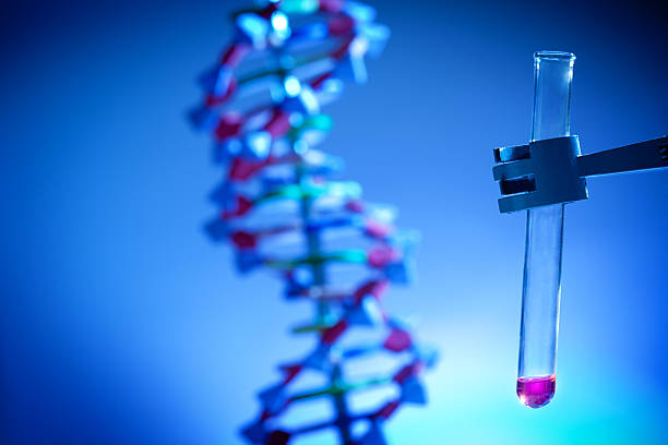 Test Tube Holder