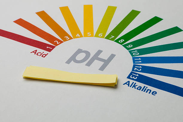 Blue Litmus Paper