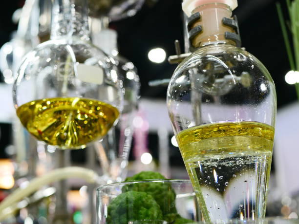 Chlorophyll Extraction