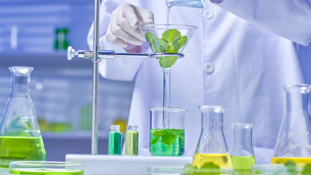 Chlorophyll Extraction