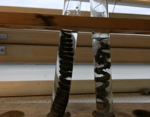 Displacement Reaction