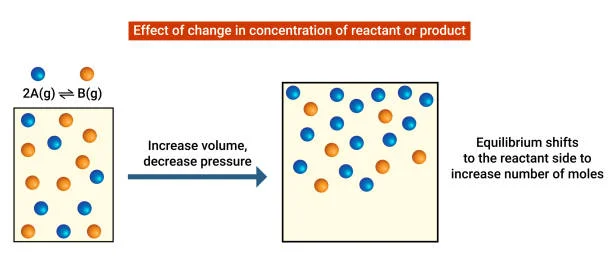 Chemical Kinetics