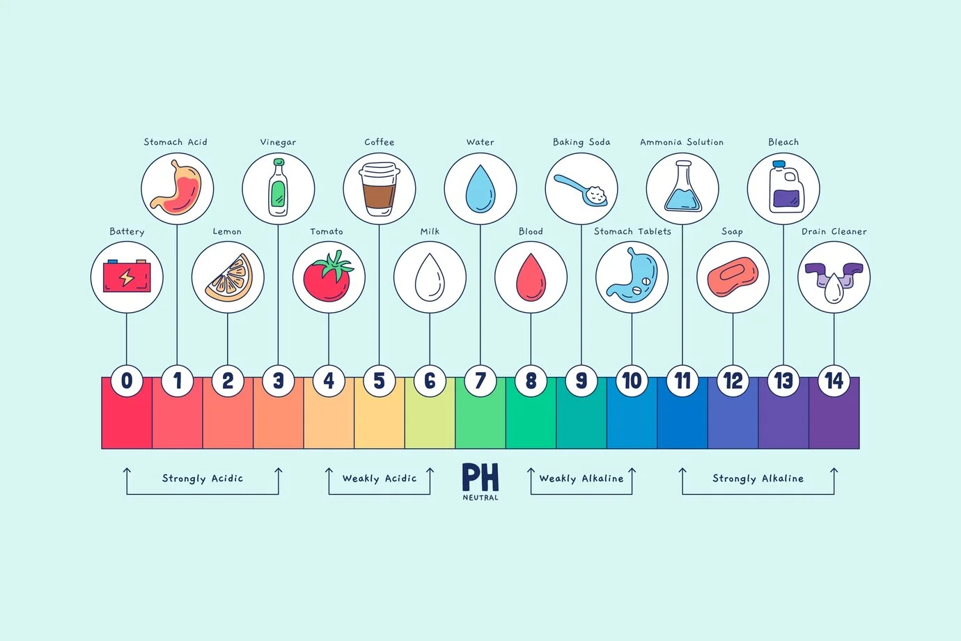 pH Scale
